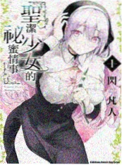 婚纱下的少女海报